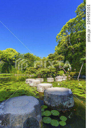 京都 平安神宮 中神苑 臥龍橋 新緑の季節 京都 平安神宮 中神苑 臥龍橋 新緑の季節 104405101