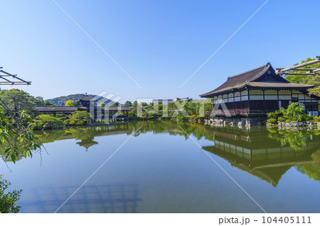 京都　平安神宮　東神苑　新緑の季節 104405111