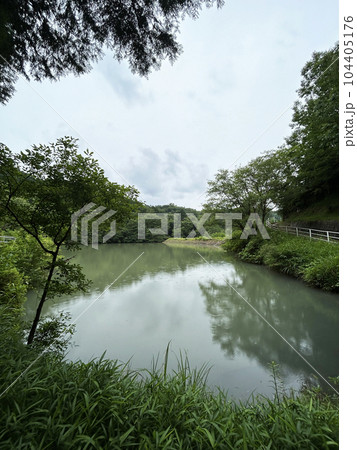 水面に反射する木々 104405176