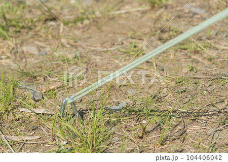 【中津川河川敷でオートキャンプ ペグとガイロープ】 【中津川河川敷でオートキャンプ ペグとガイロープ】 104406042