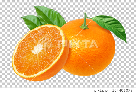 橙色插畫現實 104406075