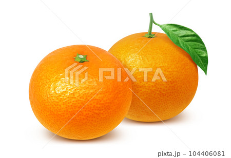 清見オレンジのイラスト リアル 104406081