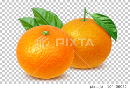 orange illustration real 104406082