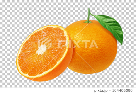 Kiyomi orange illustration real 104406090