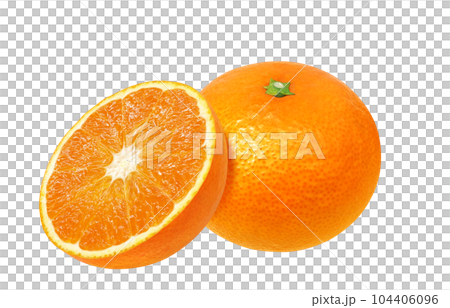 orange illustration real 104406096