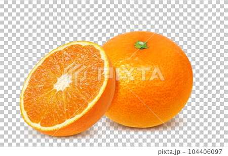 orange illustration real 104406097