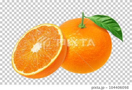 orange illustration real 104406098