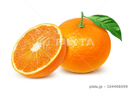 清見オレンジのイラスト リアル 清見オレンジのイラスト リアル 104406099