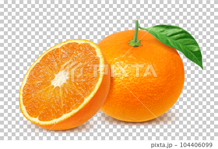 清見オレンジのイラスト リアル 清見オレンジのイラスト リアル 104406099
