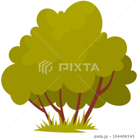 Small bush. Green shrub. Garden plant with long branches 104406543