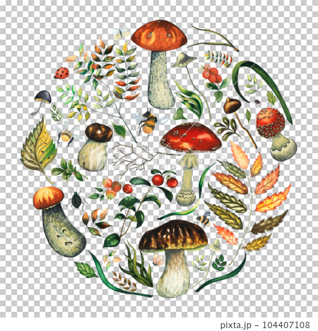 Watercolour round composition with wild forest mushrooms, insects, leaves, herbs. Greeting card template, banner, decoration with red fly agarics, porcini, red mushrooms, leaves, grass, toadstools 104407108