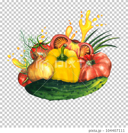 Watercolor vegetables gazpacho soup composition with cut tomato, cucumber, cherry tomato, bell paper, onion, green onion, dill, watercolour splashes and drops. Hand drawn illustration for package 104407111