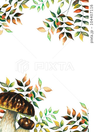 Watercolour vertical banner with boletus porcini mushroom, autumn wild forest leaves and blueberry herbs hand drawn illustration on white background. Greeting card template with place for text 104407116