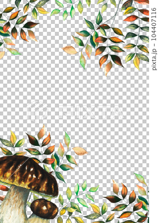 Watercolour vertical banner with boletus porcini mushroom, autumn wild forest leaves and blueberry herbs hand drawn illustration on white background. Greeting card template with place for text 104407116