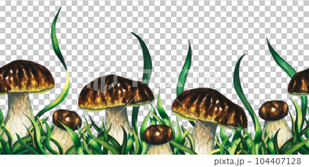 Watercolour seamless border with edible mushrooms porcini boletus and greenery, blade of grass, hand drawn illustration on white background 104407128