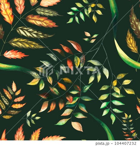 Watercolour seamless pattern with autumn wild forest leaves and blueberry herbs hand drawn illustration on dark background 104407232