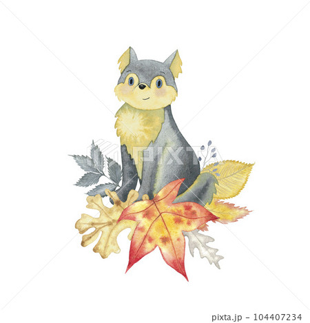 Autumn watercolour card with baby wolf or dog and leaves of oak tree, maple, elm, fantasy herbs hand drawn isolated on white 104407234