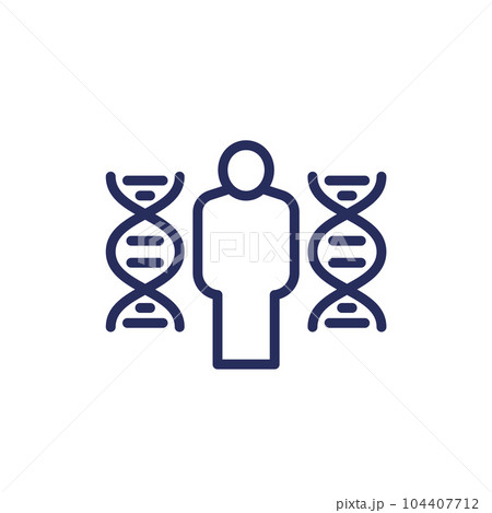 human genome, DNA icon, line vector human genome, DNA icon, line vector 104407712