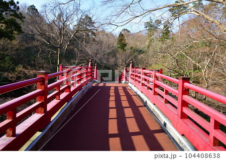 弥彦公園もみじ谷(新潟県) 弥彦公園もみじ谷(新潟県) 104408638