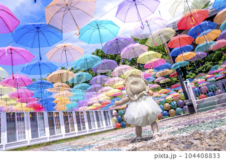 アンブレラ 104408833