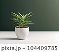 House plant in pot, isolated in white bright background, decorative indoor plant, AI generated image 104409785