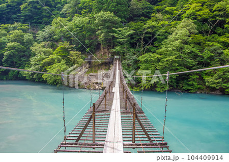 【夢のつり橋】寸又峡・静岡県 104409914
