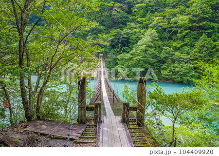 【夢のつり橋】寸又峡・静岡県 104409920