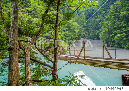 【夢のつり橋】寸又峡・静岡県 104409924