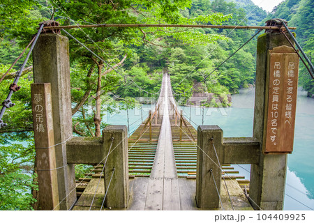 【夢のつり橋】寸又峡・静岡県 104409925