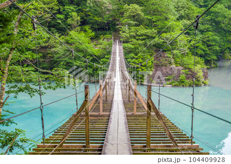 【夢のつり橋】寸又峡・静岡県 104409928