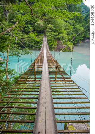 【夢のつり橋】寸又峡・静岡県 104409930