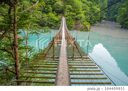 【夢のつり橋】寸又峡・静岡県 104409931