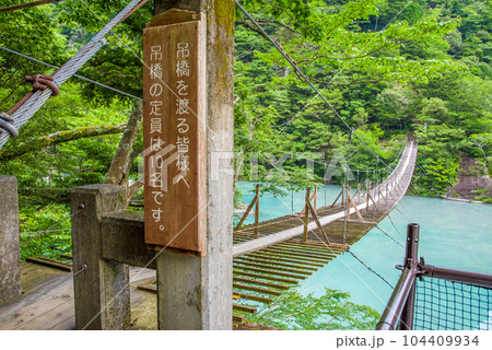 【夢のつり橋】寸又峡・静岡県 【夢のつり橋】寸又峡・静岡県 104409934