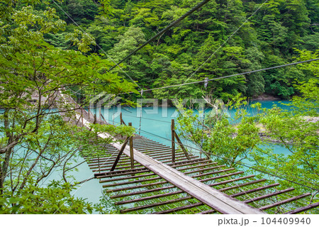 【夢のつり橋】寸又峡・静岡県 104409940