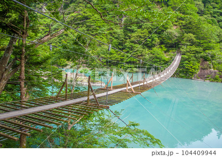 【夢のつり橋】寸又峡・静岡県 104409944