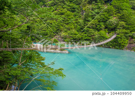 【夢のつり橋】寸又峡・静岡県 【夢のつり橋】寸又峡・静岡県 104409950