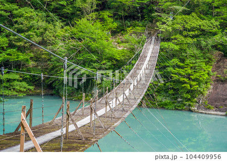 【夢のつり橋】寸又峡・静岡県 104409956