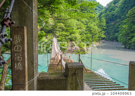 【夢のつり橋】寸又峡・静岡県 104409963