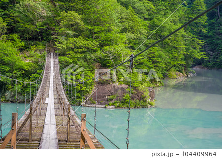 【夢のつり橋】寸又峡・静岡県 104409964