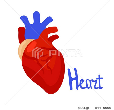 Vector isolated illustration of heart with lettering. 104410000