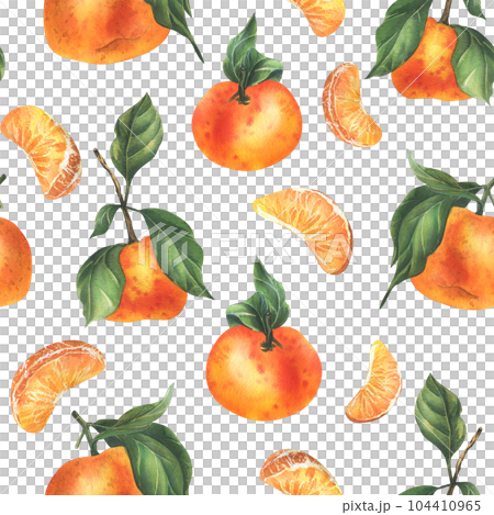 Orange tangerines with green branch and leaves, citrus tropical fruit, whole and slices. Watercolor illustration, hand drawn. Seamless pattern on a white background Orange tangerines with green branch and leaves, citrus tropical fruit, whole and slices. Watercolor illustration, hand drawn. Seamless pattern on a white background 104410965