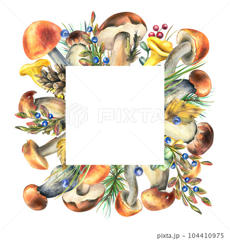 Forest mushrooms, boletus, chanterelles and blueberries, lingonberries, twigs, cones, leaves. Watercolor illustration frame, hand drawn template on a white background. Forest mushrooms, boletus, chanterelles and blueberries, lingonberries, twigs, cones, leaves. Watercolor illustration frame, hand drawn template on a white background. 104410975