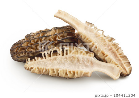 raw morel mushroom isolated on white background with full depth of field 104411204