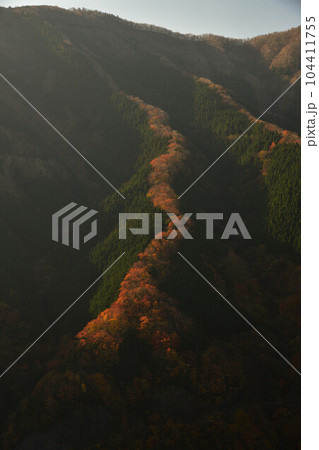 ナメゴ谷の紅葉 104411755