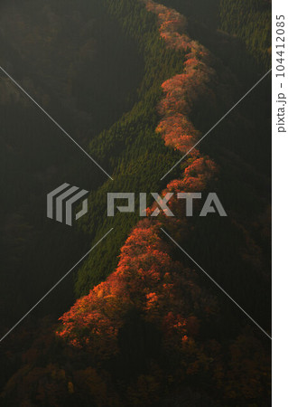 ナメゴ谷の紅葉 ナメゴ谷の紅葉 104412085