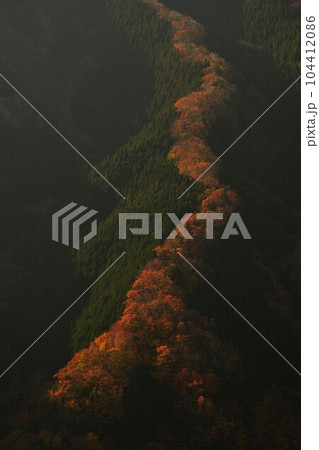 ナメゴ谷の紅葉 ナメゴ谷の紅葉 104412086