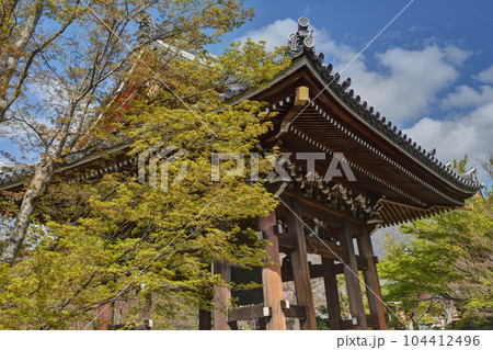 智積院の鐘楼と紅葉 104412496