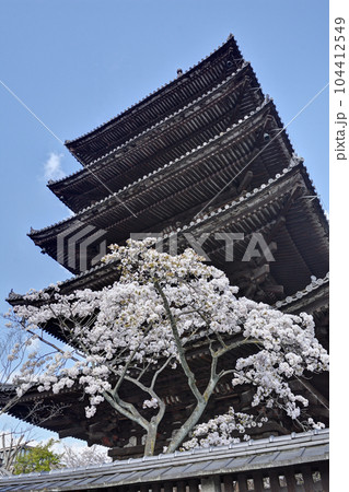 法観寺の五重塔(八坂の塔) 104412549