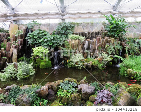ハーブ庭園の温室 富士河口湖 104413218