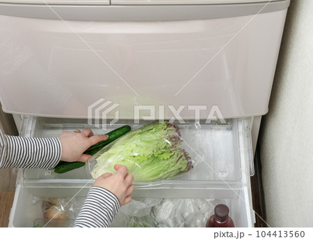 【野菜室からサニーレタスを出す主婦】 【野菜室からサニーレタスを出す主婦】 104413560
